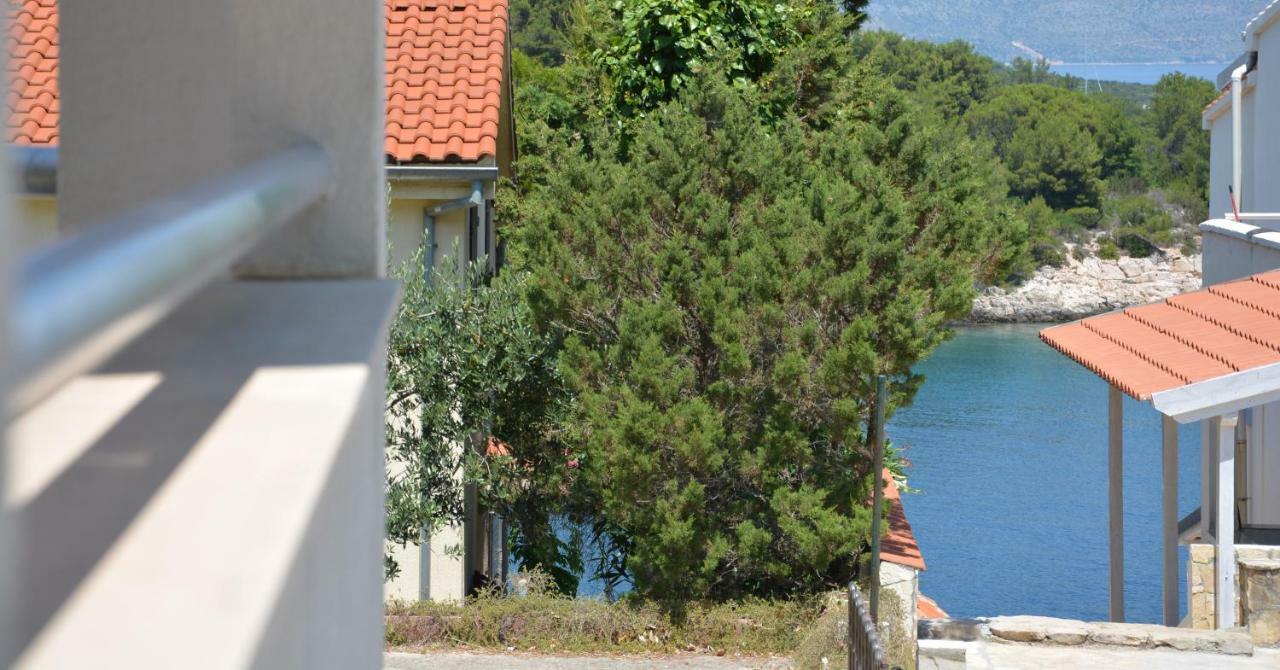 Apartmani Cesarec Basina Dış mekan fotoğraf